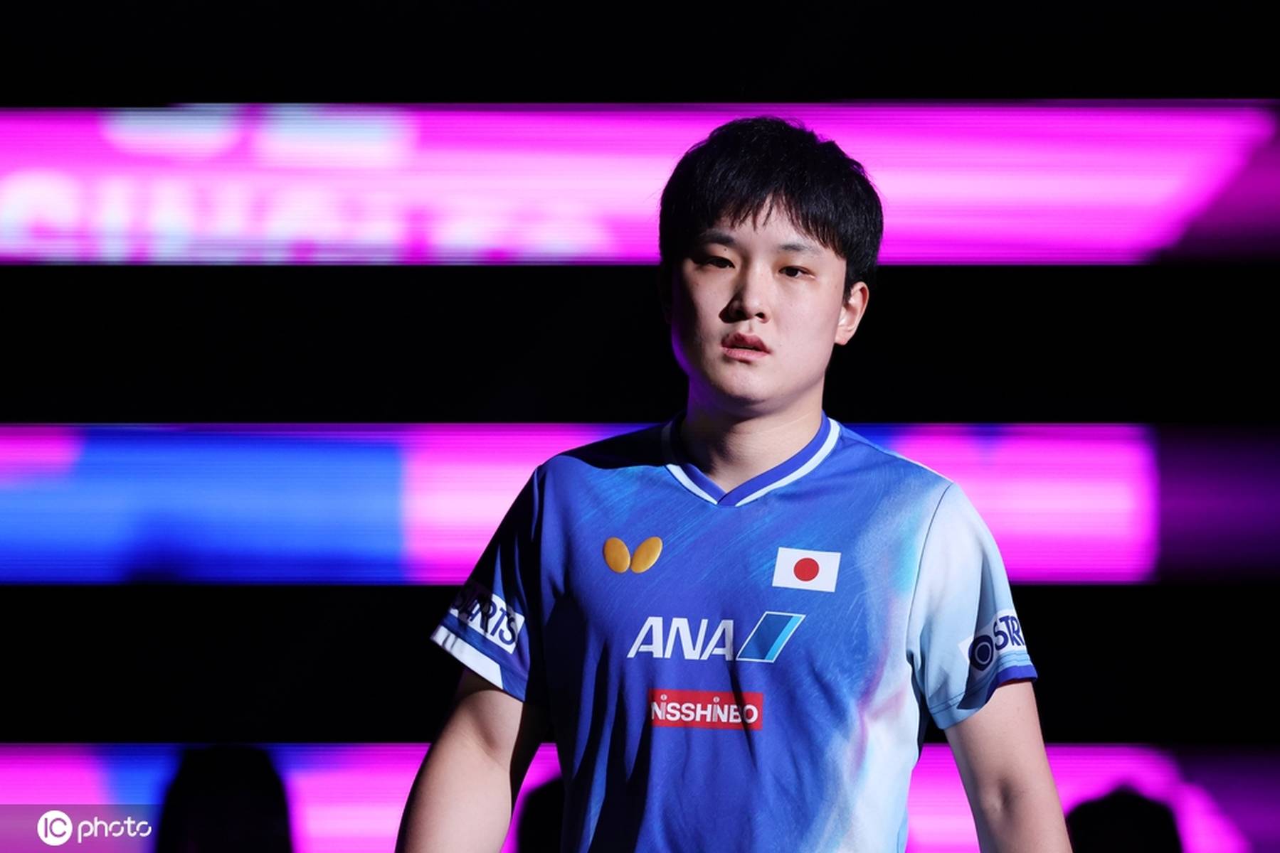 波兰乒乓球队横扫比利时乒乓球队,张本智和高光表现 波兰乒乓球队横扫比利时乒乓球队,张本智和高光表现