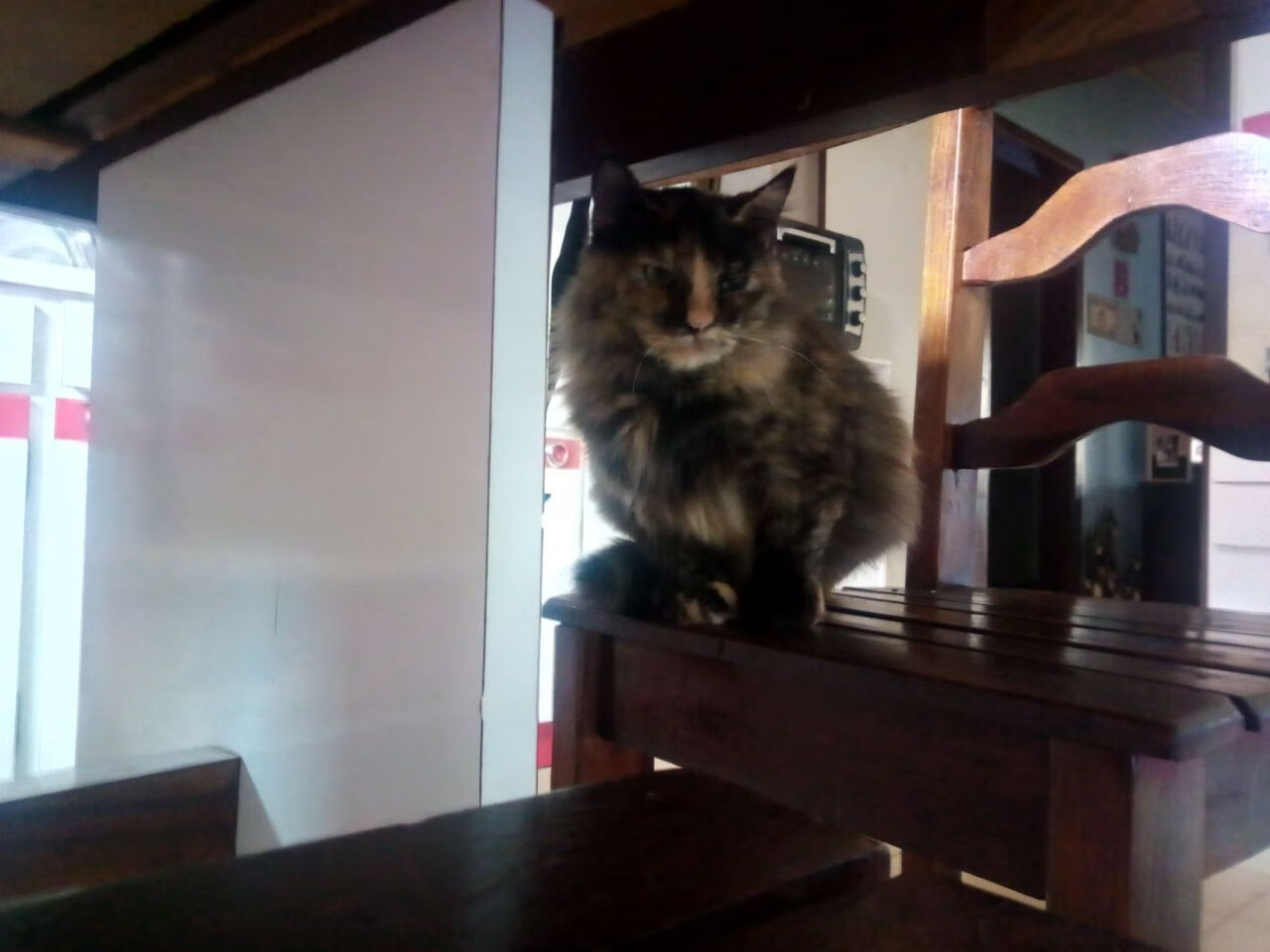 鏖战与独舞,当马竞铁血遇上莫德里奇的时间哲学