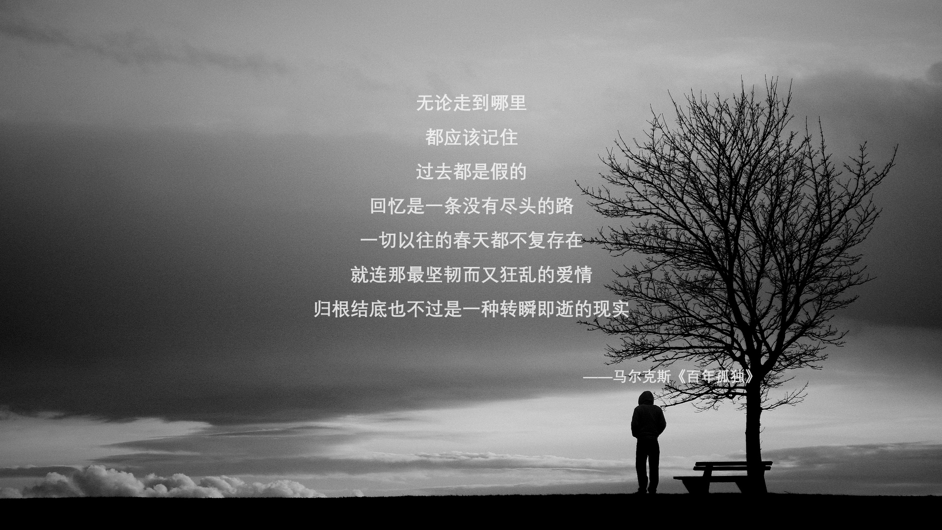 开云体育入口-绿茵场与木地板的无解共鸣，欧冠半决赛之夜与东契奇的唯一突破哲学