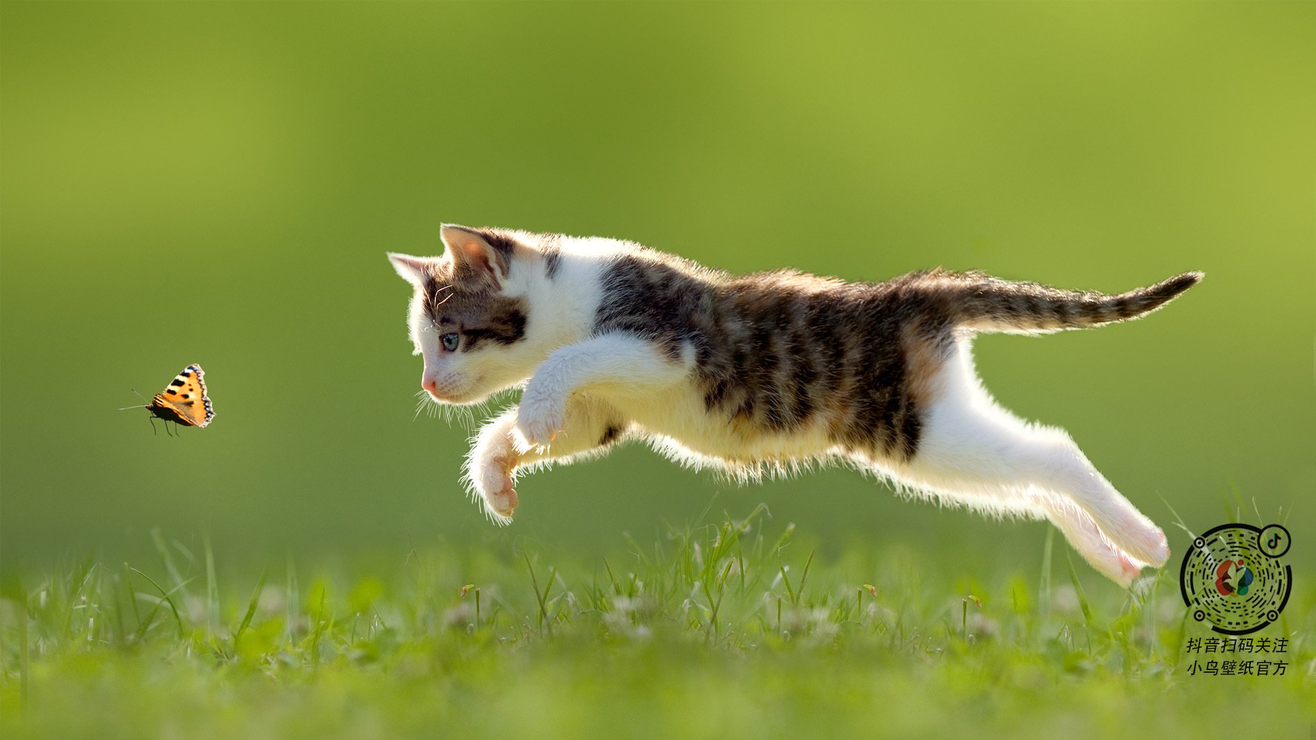 残局中的皇后,当太阳血拼步行者,哈登如何成为胜负手