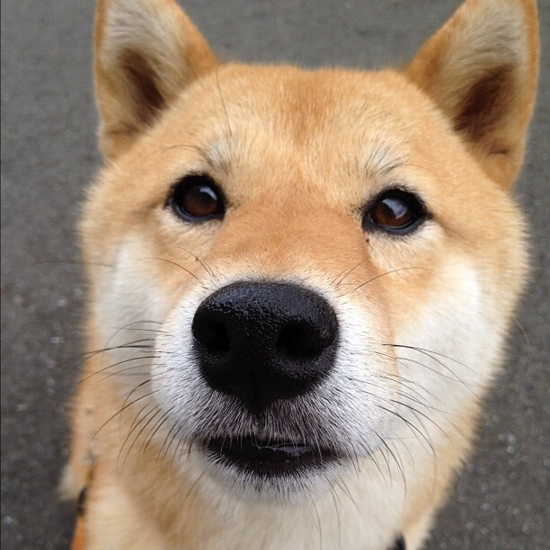 开云体育登录-世界排名争夺战焦点，魔术力克太阳，奥兰多崛起新篇章