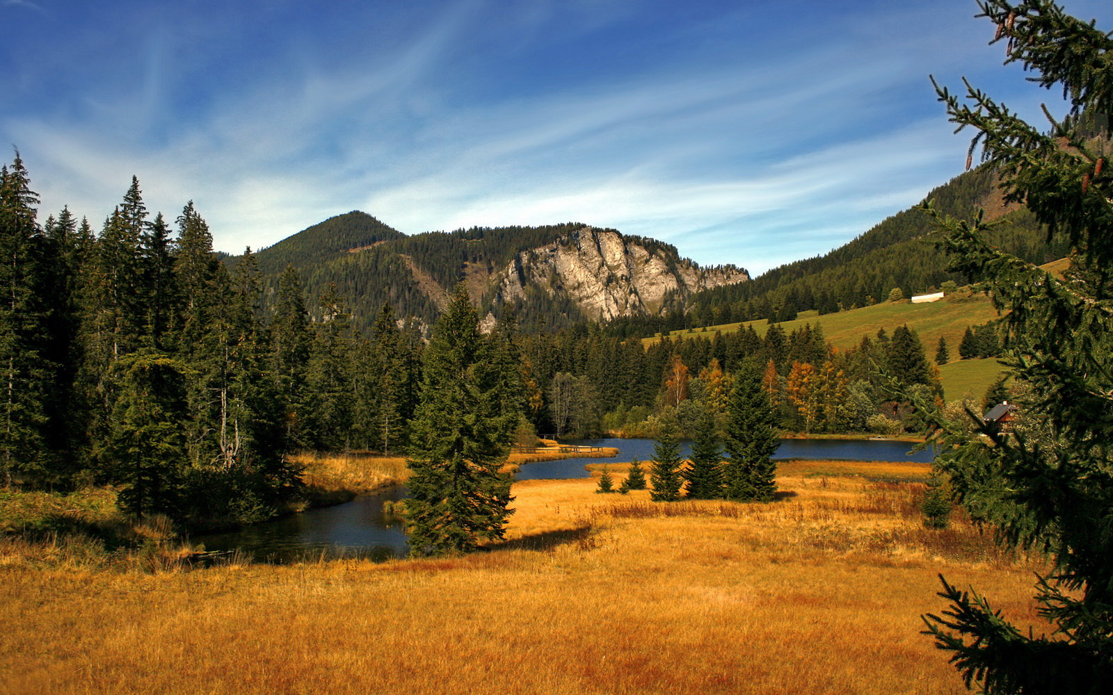 开云体育官网-双城记，绿茵的寂静与硬木的惊雷