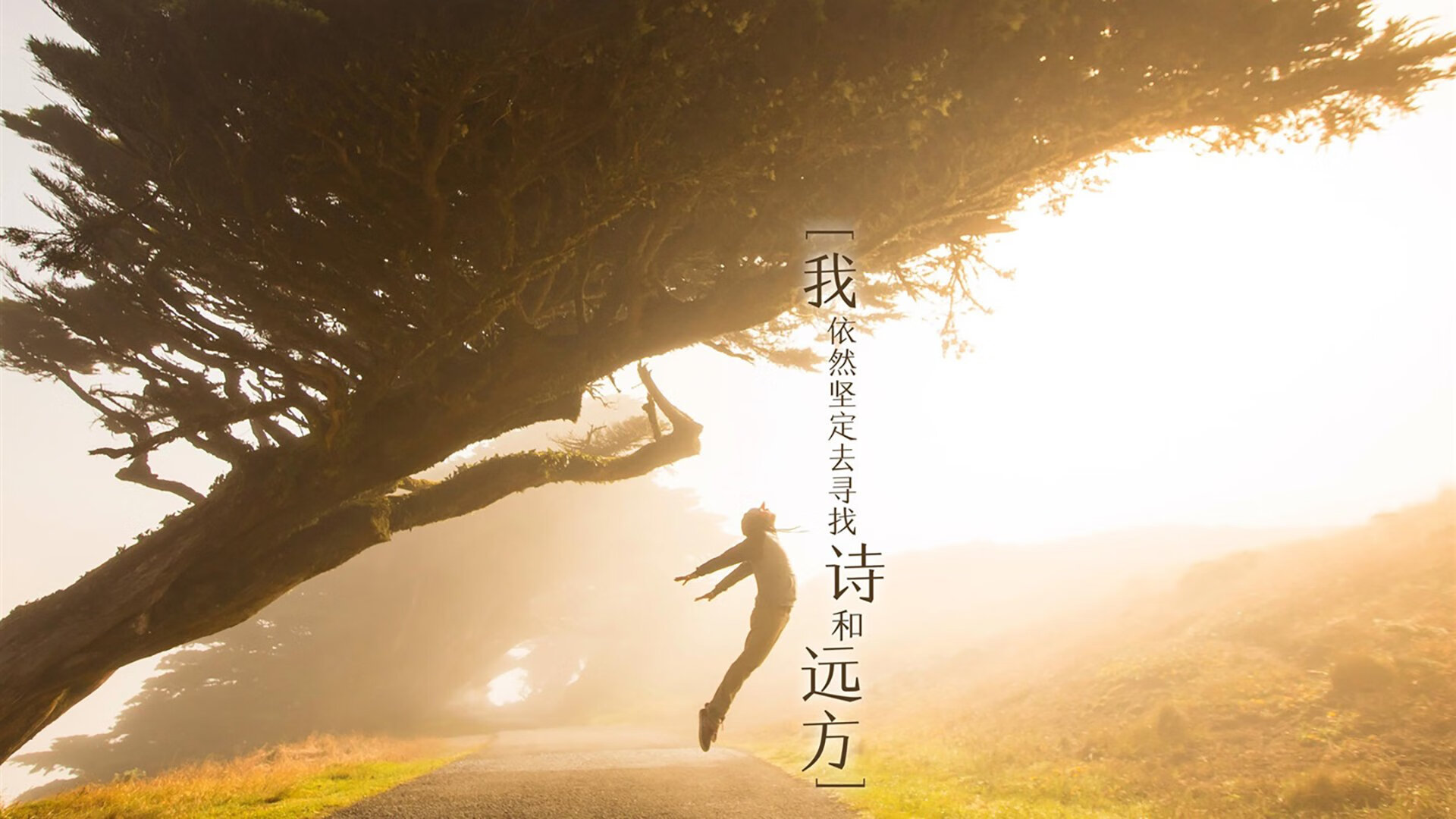 开云体育中国-封印破除之夜，当维尼修斯撕下所有标签，在伯纳乌写下自己的史诗